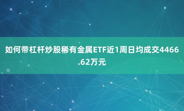 如何带杠杆炒股稀有金属ETF近1周日均成交4466.62万元