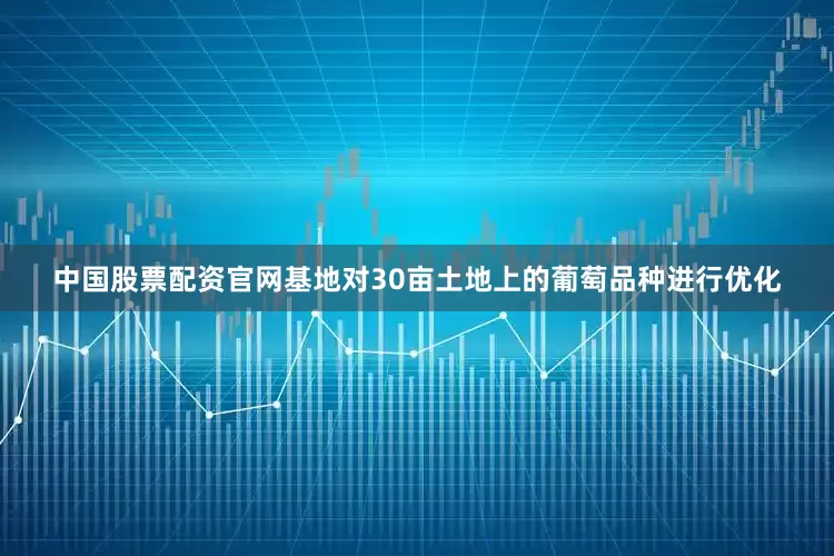 中国股票配资官网基地对30亩土地上的葡萄品种进行优化