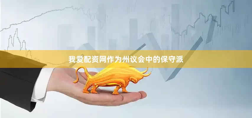 我爱配资网作为州议会中的保守派